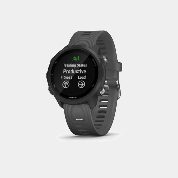 Garmin Forerunner 245 Gris  smartwatch 010-02120-10