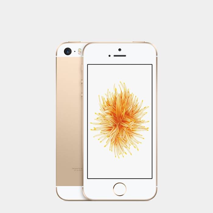 Apple Iphone Se 16gb Gold MLXM2Y/A